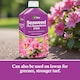 image 6 of Vitax Seaweed Plus with Sequestered Iron 500ml Liquid Fertiliser for Acid-Loving Plants Lawns & Garden Growth Tonic
