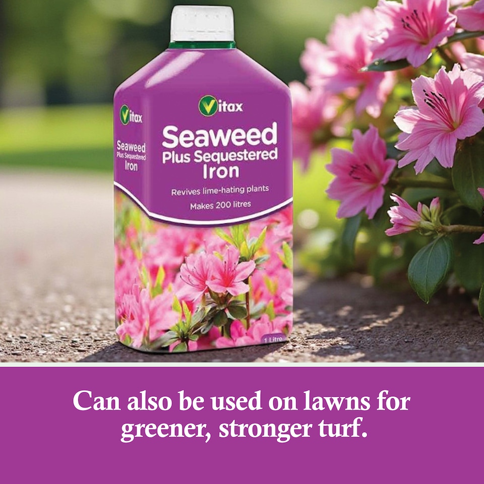 image 1 of Vitax Seaweed Plus with Sequestered Iron 500ml Liquid Fertiliser for Acid-Loving Plants Lawns & Garden Growth Tonic