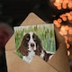 image 3 of Greeting Card Dog Lover English Springer Spaniel in Green Field