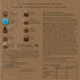 image 2 of Holdsworth Chocolates Classic Milk Assortment |100g