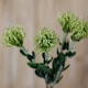 image 2 of Hill Interiors Pincushion Protea Spray Artificial Flower - Green - One Size