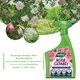 image 6 of Westland Rose Guard RTU 800ml Spray for Healthy Leaves Vibrant Colour Disease Protection and Stronger Blooms for Roses