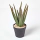 image 1 of Homescapes Aloe Vera Artificial Succulent in Black Pot, 30 cm Tall