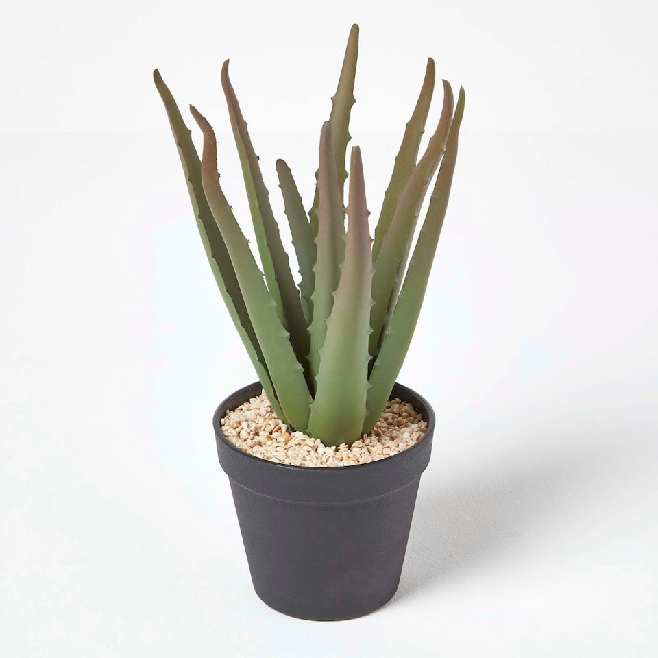 image 1 of Homescapes Aloe Vera Artificial Succulent in Black Pot, 30 cm Tall