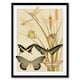 image 1 of Maurice Pillard Verneuil Framed Wall Art Butterflies and Dragonflies Home Décor