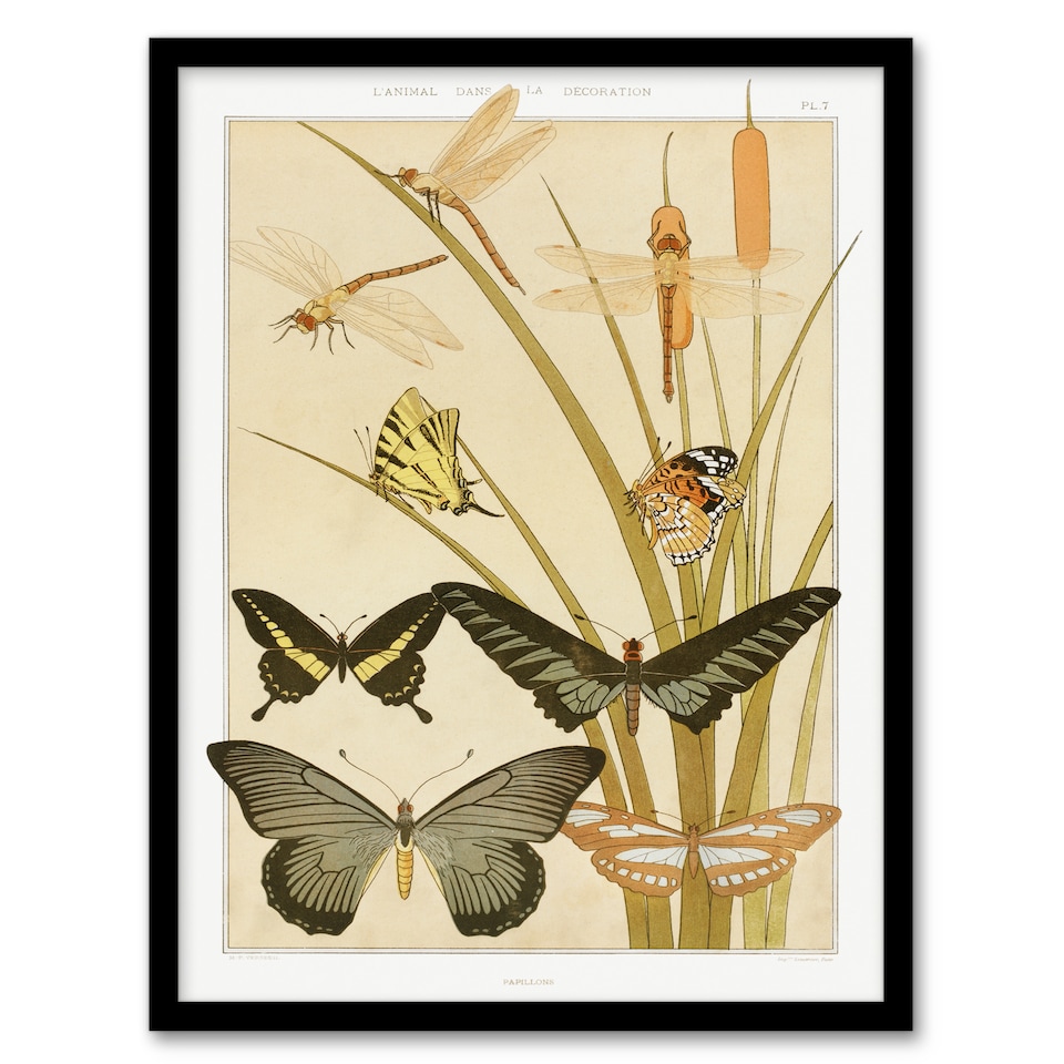 image 1 of Maurice Pillard Verneuil Framed Wall Art Butterflies and Dragonflies Home Décor