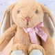 image 7 of Sitting Floppy Pippin Brown Rabbit 23cm