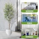 image 4 of Artificial 210cm Olive Tree Fake Plant with 64 Olives, Pot for Indoor Décor 7ft