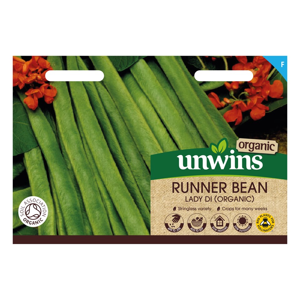 image 1 of Runner Bean Lady Di (Organic) | Multi | Green, Red