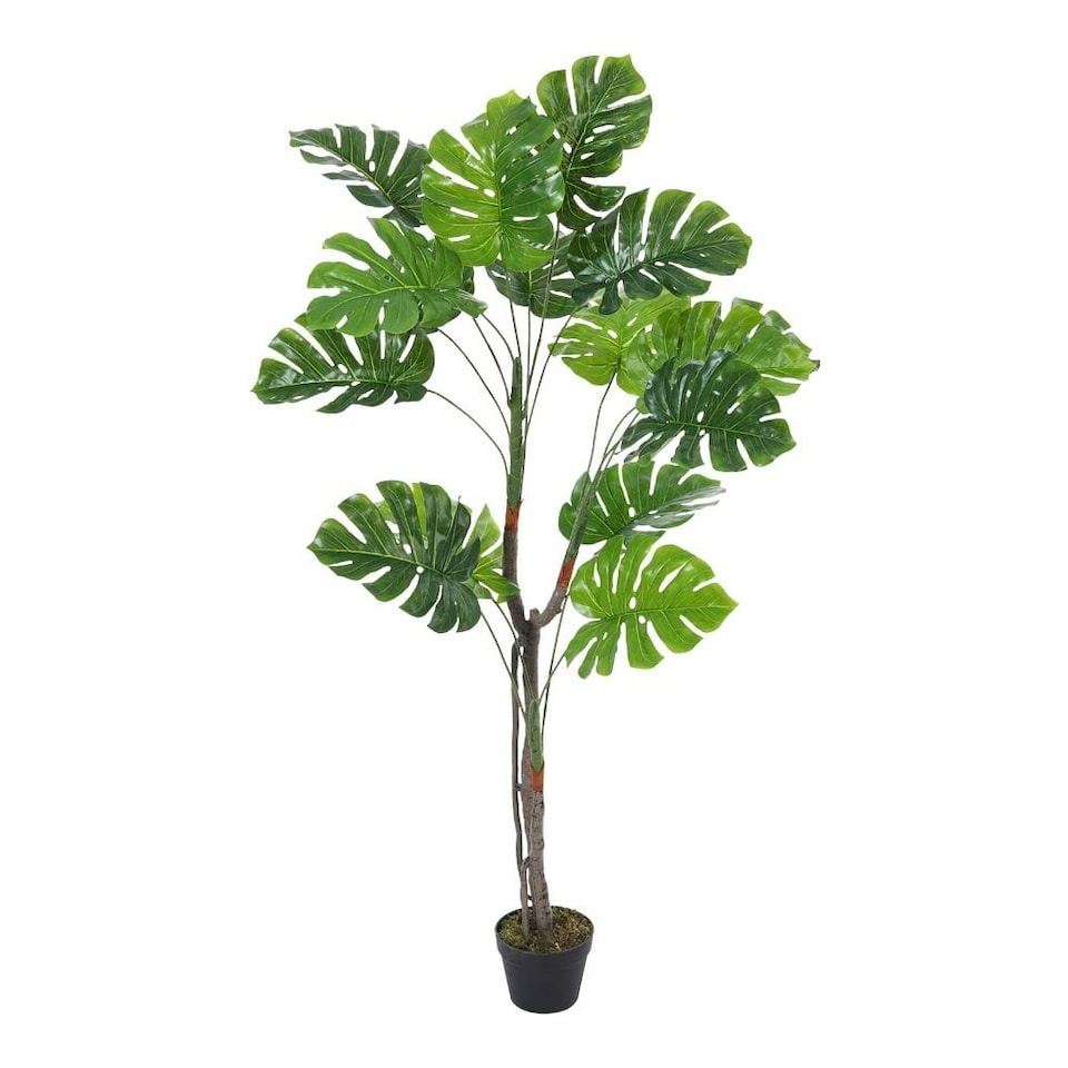 image 1 of Living and Home Artificial Monstera Deliciosa Tree in Pot - 155cm