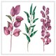 image 1 of Purple & green leaves (Picutre Frame) White | S