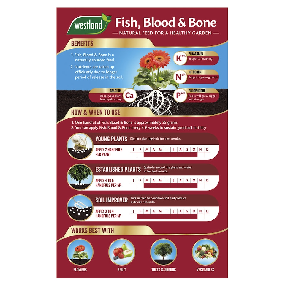 image 1 of Westland Fish, Blood & Bone All-Purpose Plant Food NPK 3-9-3 4kg