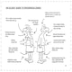 image 4 of Life After 50 Men - Book
