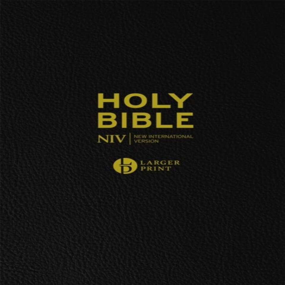 Niv Larger Print Black Leather Bible