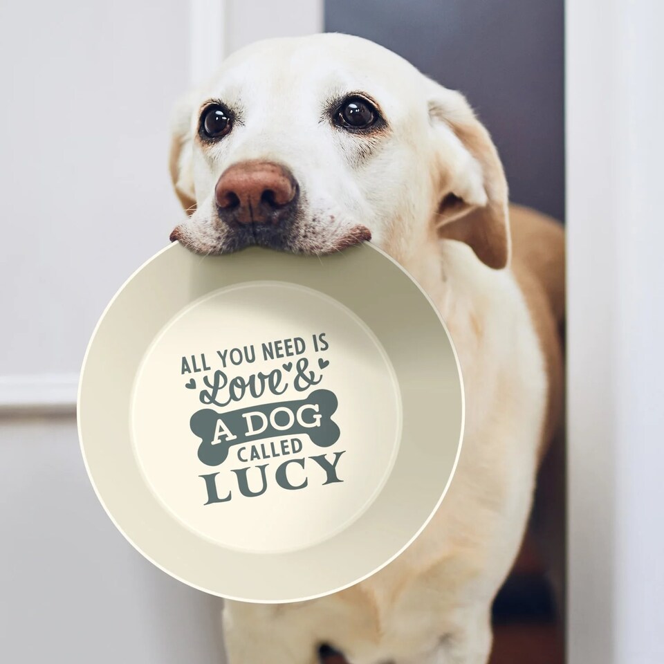 image 1 of Pre-personalised Dog Bowl Featuring Popular Names, Breeds and Captions - Freddie - Over 60 Titles Available