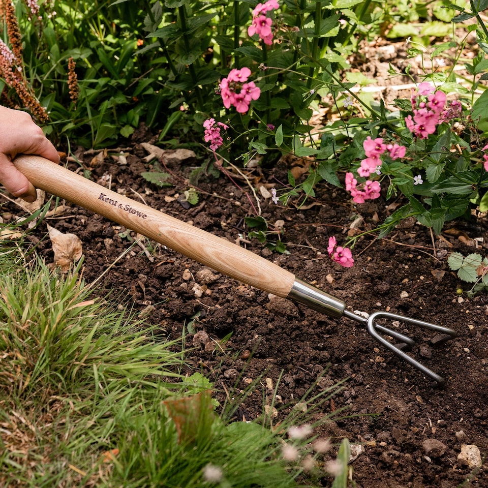 image 1 of Kent & Stowe Stainless Steel Border 3 Prong Cultivator | Multi | 21.4cm