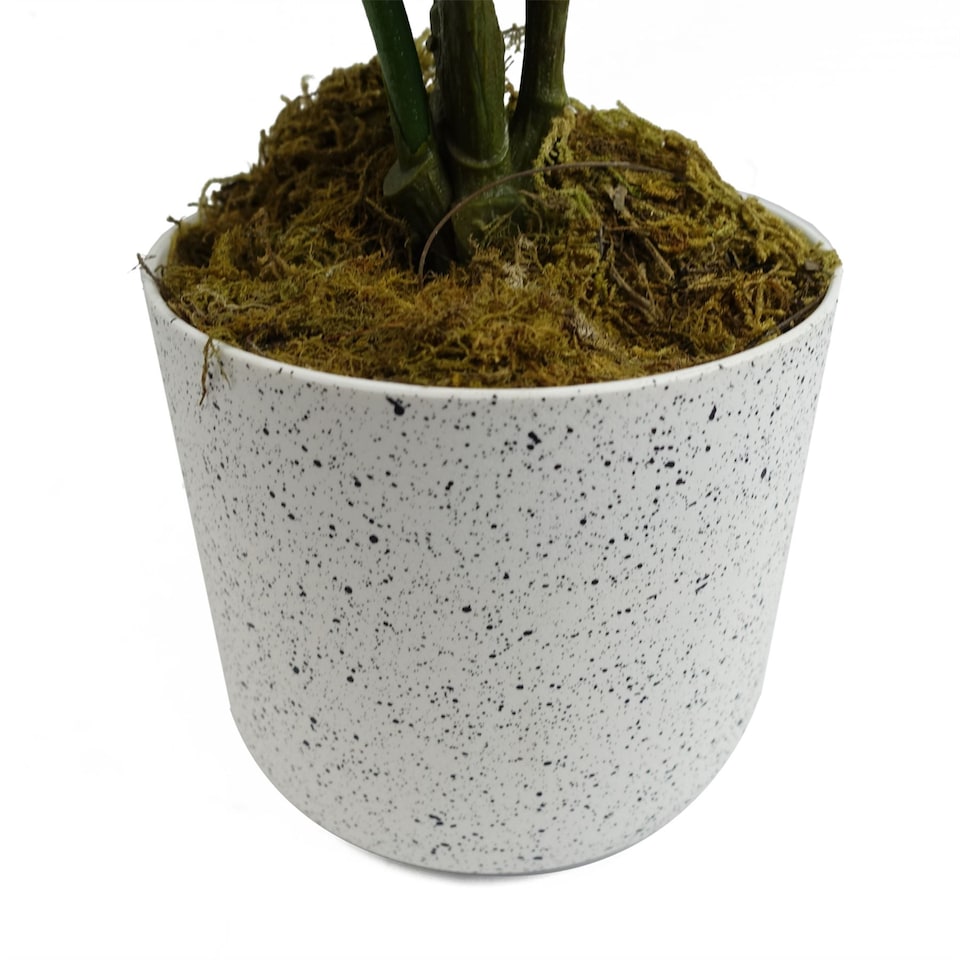 image 1 of 55cm Artificial Red Dahlia Pinnata