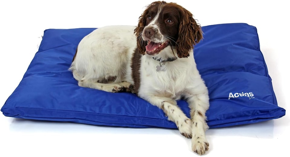 image 1 of Actiaspet - Large Waterproof Dog Bed (Blue, Large)