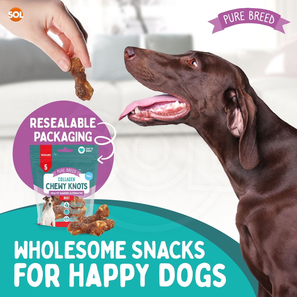 image 1 of 20pk Small Collagen Chewy Knots Beef, 5cm Dog Chews Treats, High Protein Puppy Snacks, Dental Health & Boredom Breaker