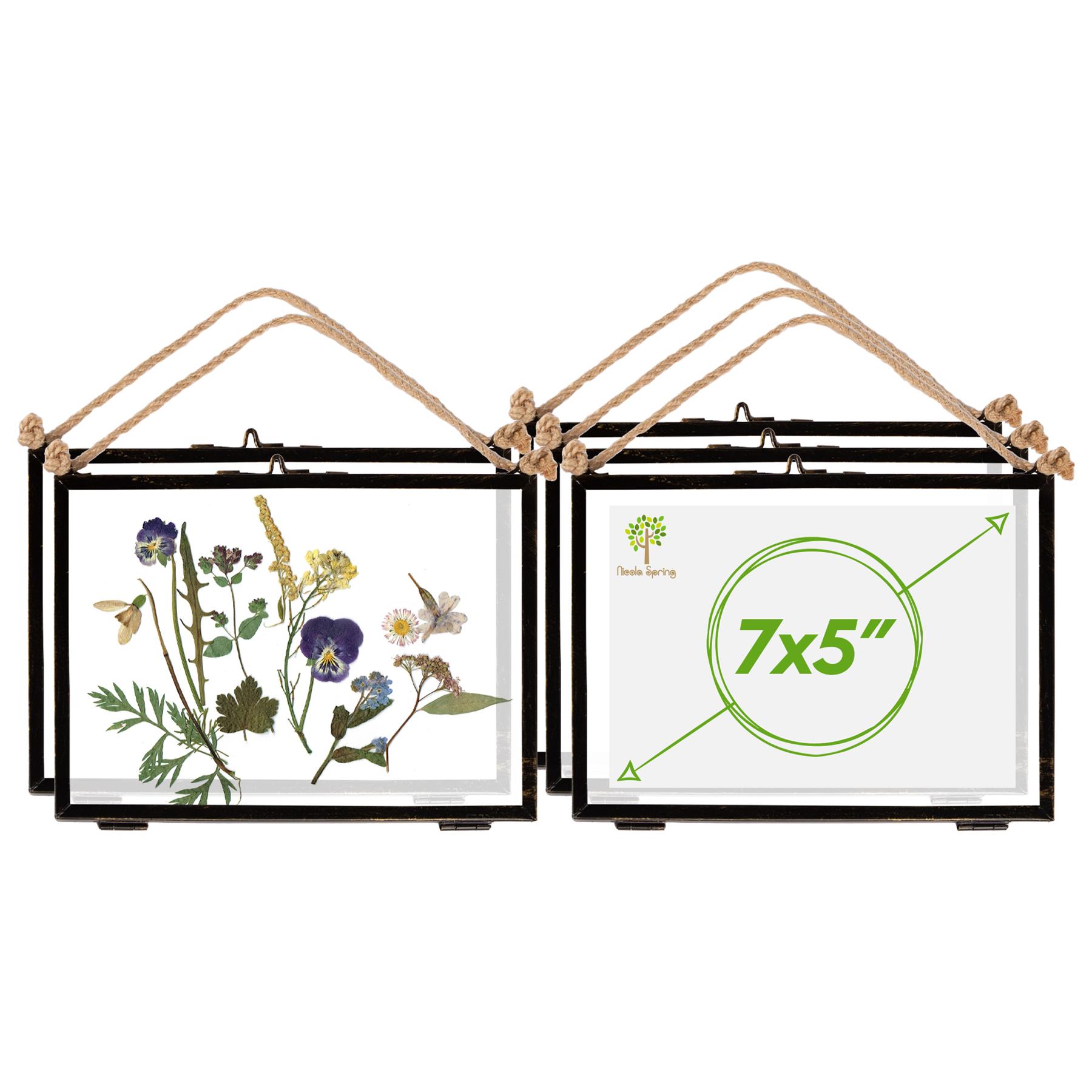 Nicola Spring Hanging Metal Photo Frames - 7" x 5" - Black - Pack of 5 Black Black One Size