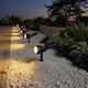 image 3 of Auraglow Solar Powered LED Garden Spike Lights - Pack of 3