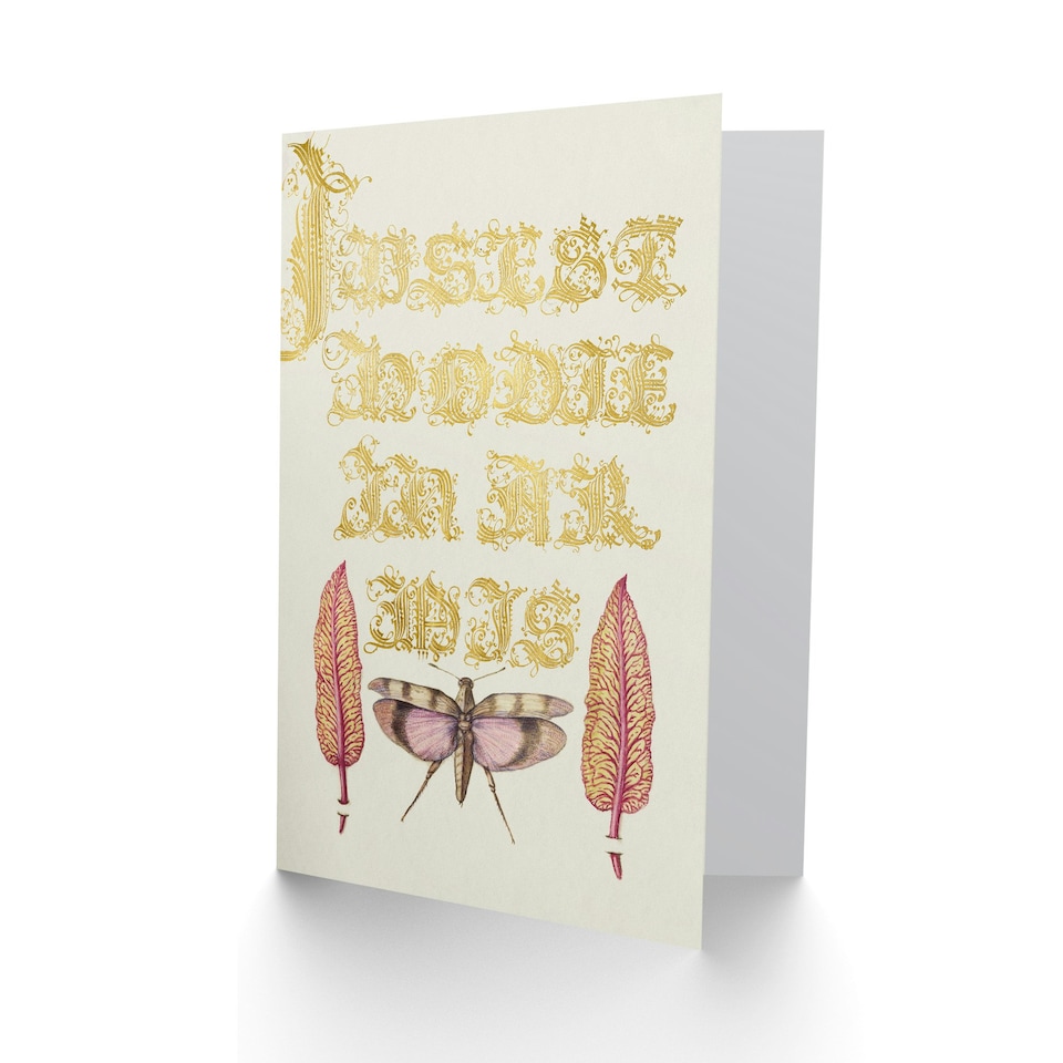 image 1 of Model Book of Calligraphy Art Card Chard and Red Winged Grasshopper