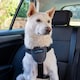 image 2 of Company Of Animals Carsafe Dog Car Harness - Black - L