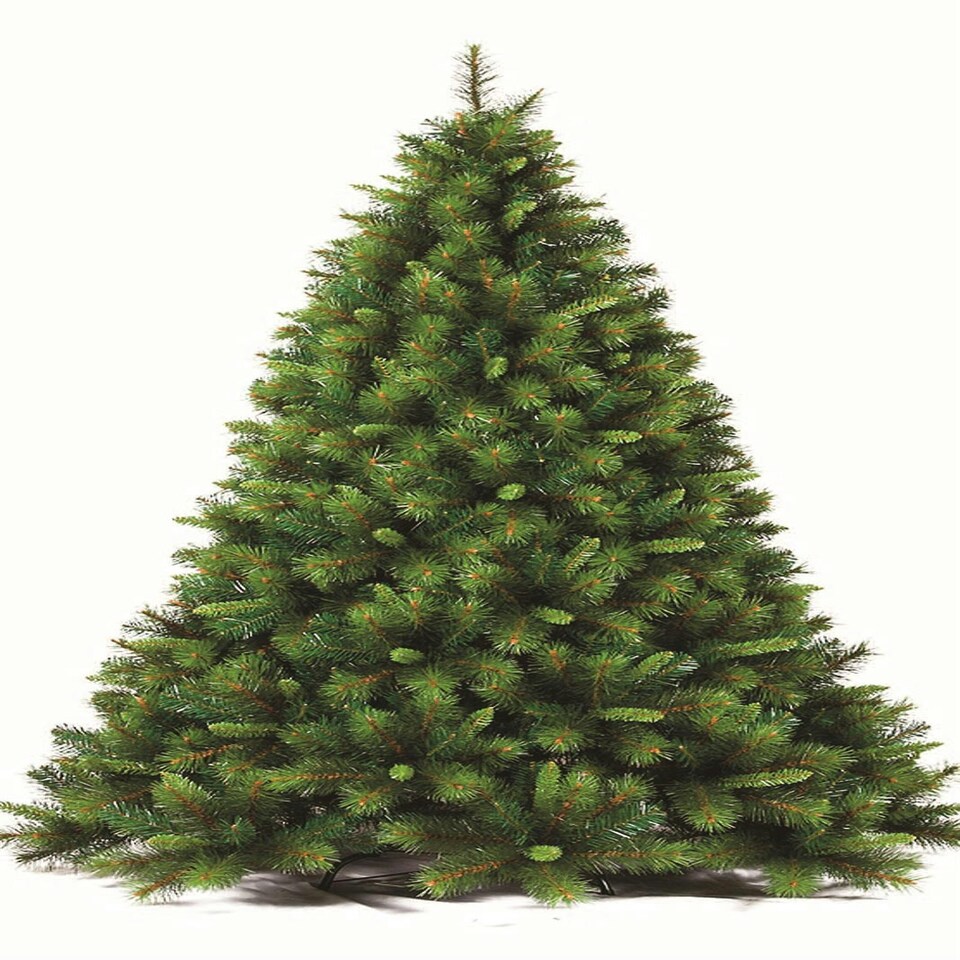 image 1 of 6Ft Kentucky Pine Plain Christmas Tree Green | 6ft