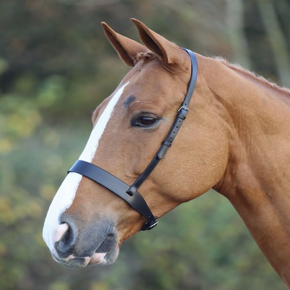 image 1 of Shires Blenheim Hunter Cavesson Noseband Black | Size: Cob
Colour: Black