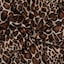Brown Giraffe