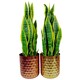 image 2 of Honeycomb Metal Planter - Gold - 18cm x 15.5cm Gold
