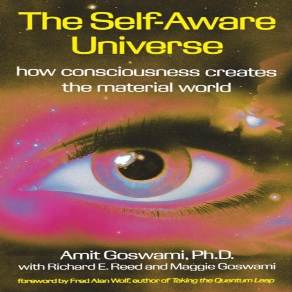 The Self-aware Universe