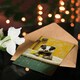 image 4 of Cute Badger in Bathtub Yellow Daisy Theme Bath Birthday Greeting Card