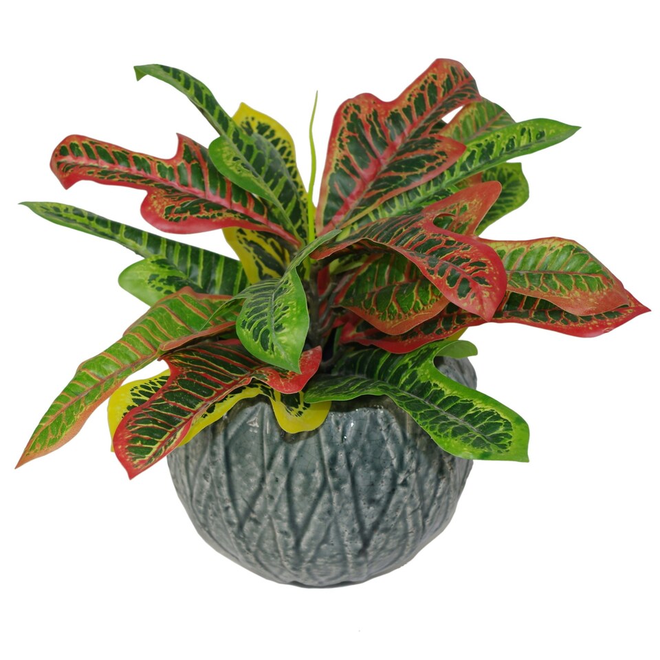 image 1 of 40cm Artificial Codiaeum Multicoloured House Plant