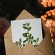 image 3 of Pierre-Joseph Redouté Art Card Italian Buckthorn Vintage Botanical