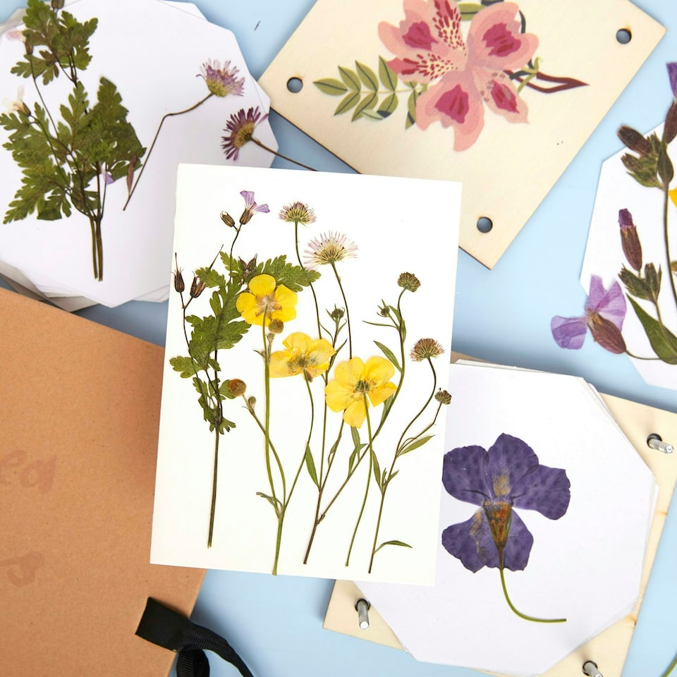 image 1 of RHS Flower Press Kit, Multicoloured, Single Craft Kit