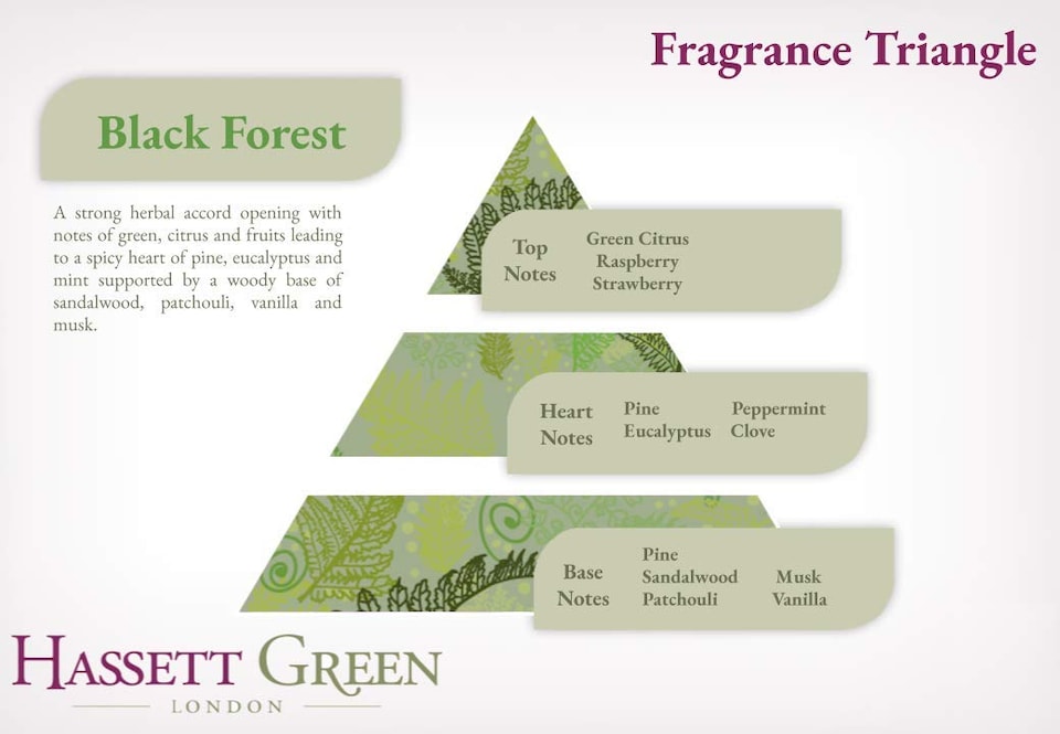 image 1 of Hassett Green London - Black Forest Pine & Eucalyptus - Scented Wooden Balls Pack of 100 - Alternative to Pot Pourri, Diffusers, Sachets and Drawer Liners