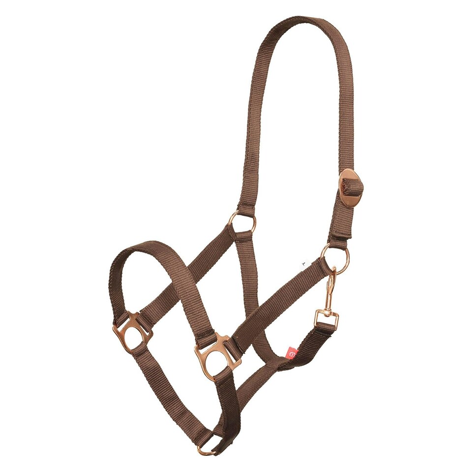 Imperial Riding IRHEconomic Horse Headcollar - Walnut - Cob