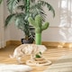 image 2 of PawHut Cactus Cat Tree, 60cm Sisal Scratching Post for Indoor Cats, Green