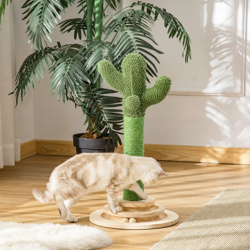 image 1 of PawHut Cactus Cat Tree, 60cm Sisal Scratching Post for Indoor Cats, Green