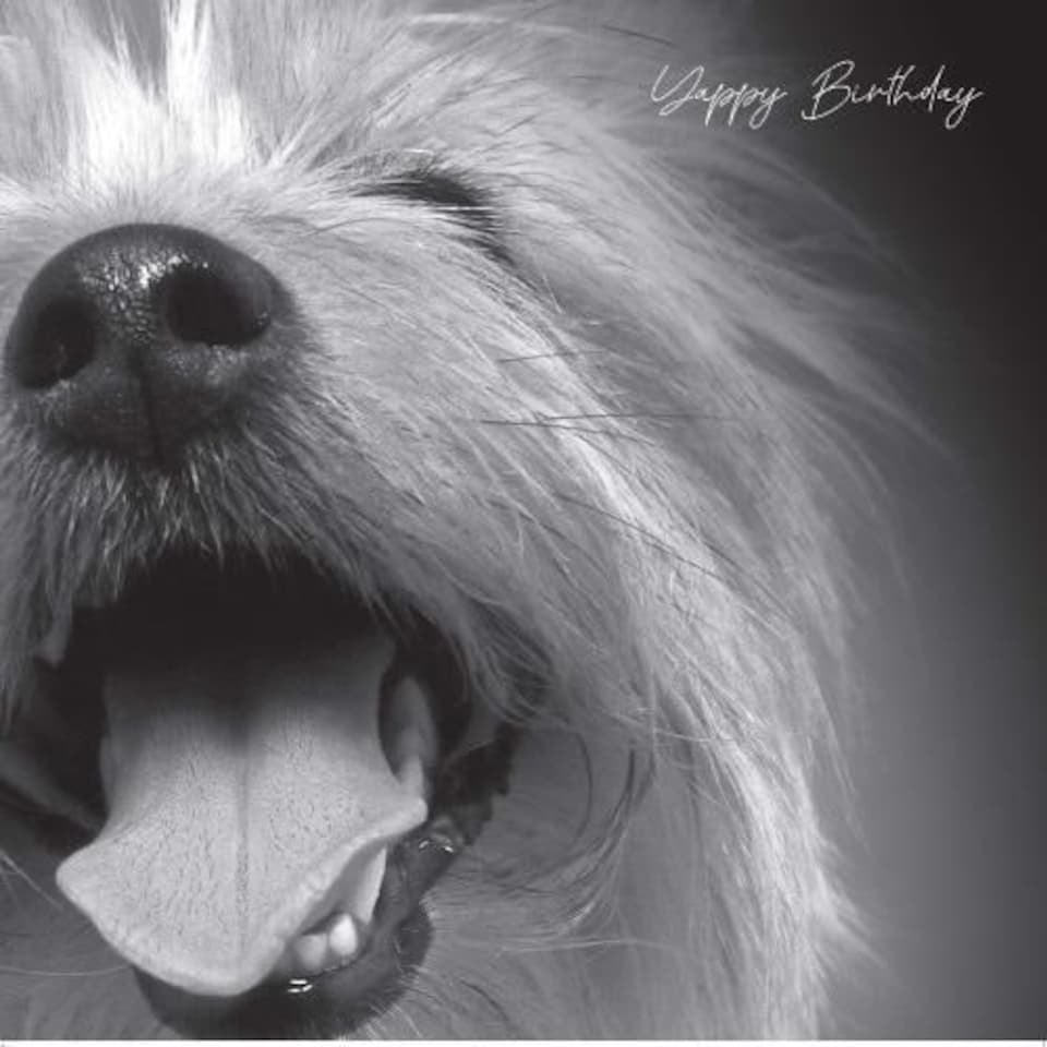 In Black & White, Yappy Dog Birthday Card for Him, Male Birthday Card, Funny Birthday Card for Him