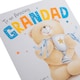 image 6 of Hallmark Birthday Card For Grandad - Forever Friends Bear With Trophy Design