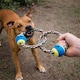 image 1 of Double Ring Tugger Durable Rope Dog Toy
