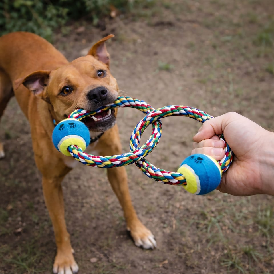image 1 of Double Ring Tugger Durable Rope Dog Toy