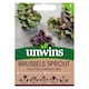 image 1 of Brussels Sprout Kalettes Garden Mix
