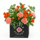 image 1 of Sweet Life Bouquet