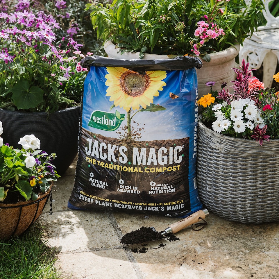 image 1 of Westland Jack's Magic All-Purpose Compost 50L