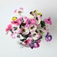 image 2 of Homescapes Set of 3 Pansy Spray Single Stems