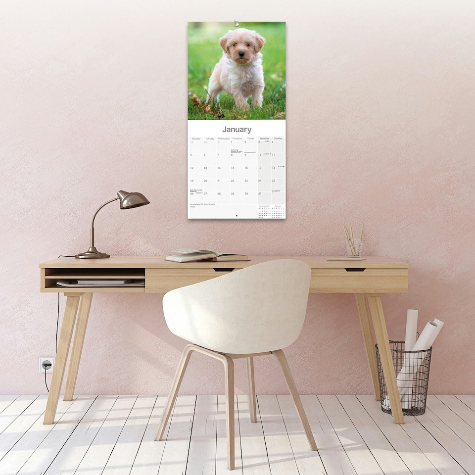 image 1 of Tibetan Terrier 2026 Calendar | Square Wall Calendar | Dog Breed Gift | Plastic Free Packaging | by Avonside Publishing
