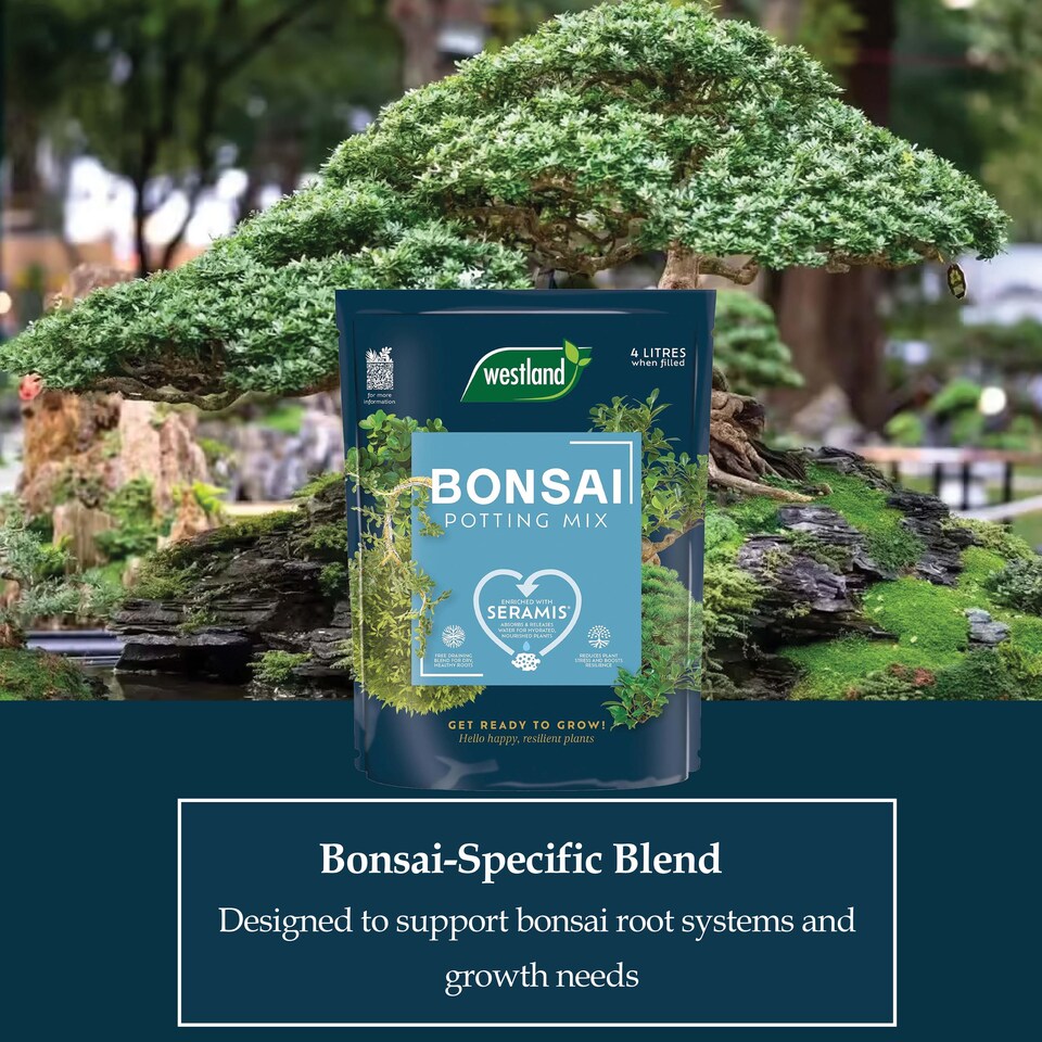 image 1 of Westland Bonsai Potting Mix 4L Free Draining Peat Free Brown Soil for Healthy Bonsai Growth & Strong Roots